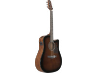 Ibanez AAD51CE-DVS Ibanez AAD51CE-DVS
